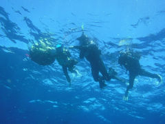 Noñ_CrOT[rXEՂ܂ǂւ̓eʐ^1