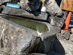 �X�^�[����̔��؎R�@���_���ւ̓��e�ʐ^1