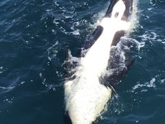 񂳂́iLjۂ͕󗈐YSWόmEXN[Yւ̓eʐ^1