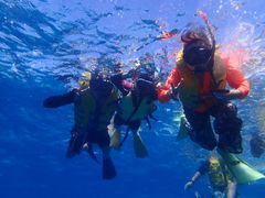 䂫̃}Vbv }[Chւ̓eʐ^1