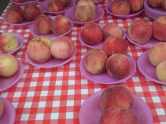 ~Y^Ř_O[vnEXւ̓eʐ^5