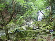 �}�C�a�n�n����̐_�����R�V�����̓��e�ʐ^1