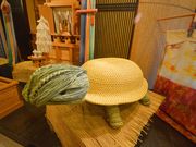 ܂낳̂҂񂱂_Ђ̓eʐ^2