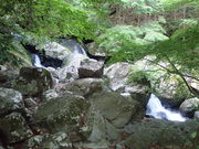 }Cann̑cRꍇڂ̑̓eʐ^1