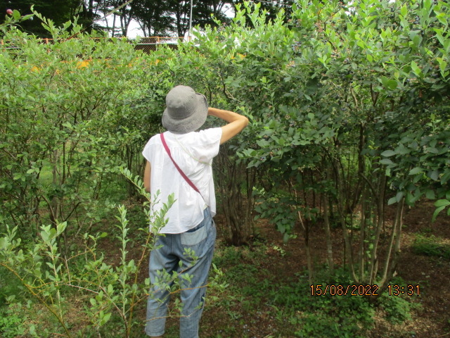 ԈႢȂAłBRXpōłB_t[c