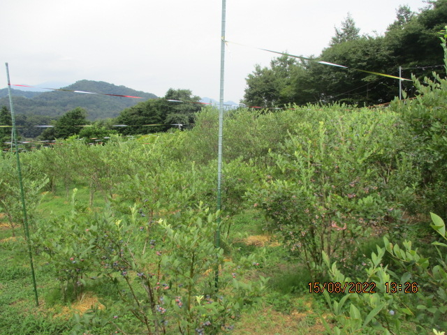 ̗ǂΖʂɁAlXȉʎAčB_t[c