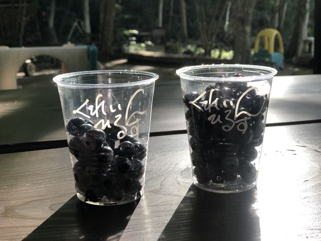 �x�e��_���ꂢ��Ђ邸