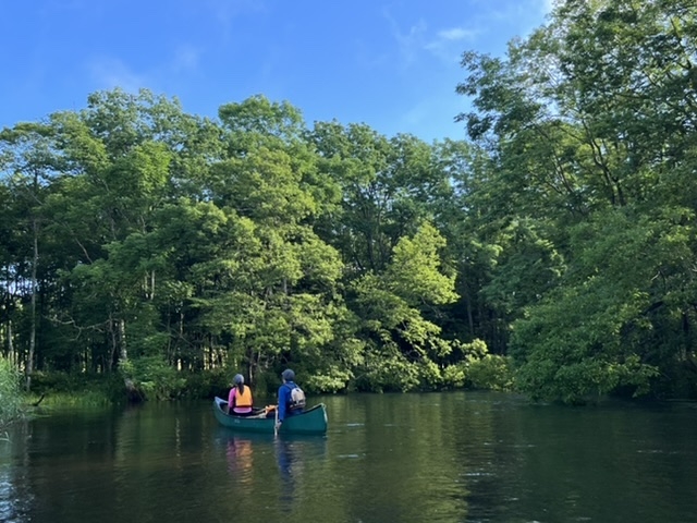 ���H�쌹��������܂��I_���o�[���t�B�[���h