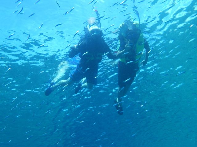 Vm[POV[_{ÓSangoSango