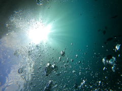 EW̐̓A _CrOVbvaւ̓eʐ^1