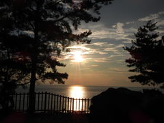 LfB[̑K`Guiʕvւ̓eʐ^1