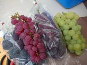 䂫ڂ񂳂̂Ԃǂ₳񐼑̓eʐ^1