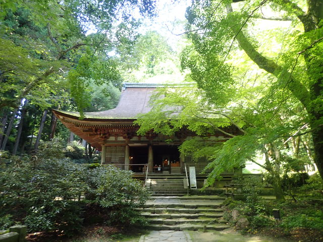 日本のどう　ガラス建築、室生寺他計4点 日本のどう ガラス建築、室生寺他計4点 日本のどう ガラス建築、