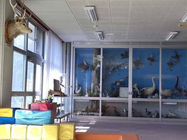 �����̕W�{������ł��܂����B_�Ȃ��ʂ܉���