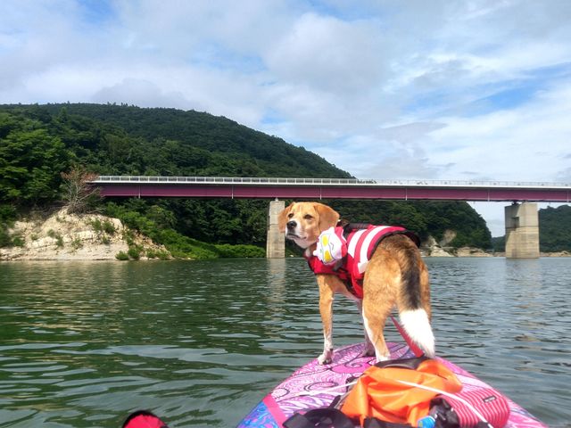 �䂪�Ƃ�SUP��_Water��Snow SPICE