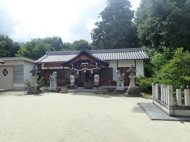 }Cann̏@䍿@sÐ_Ђ̓eʐ^1