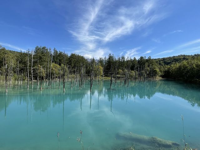 ���r�ƕ����̏オ��\���x_�D�y�ʉ^�N���u�Q�b�c