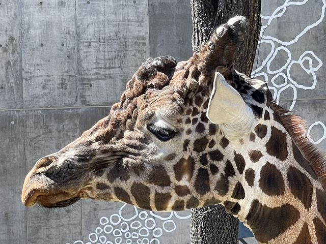 �i�ق�����߂��ł��B_�D�y�ʉ^�N���u�Q�b�c