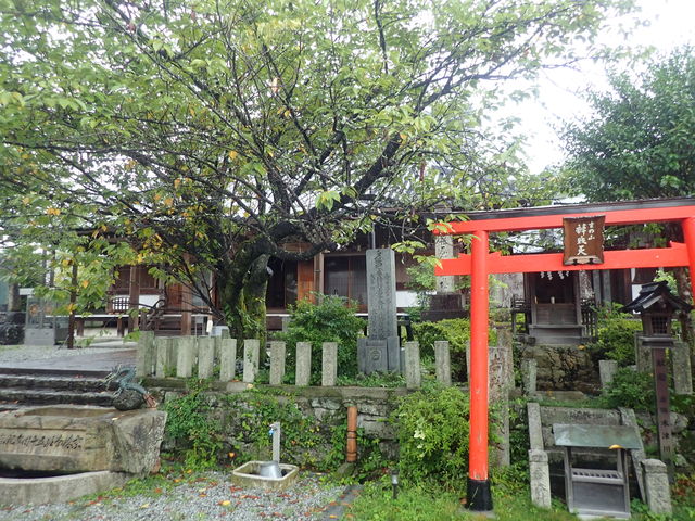 }Cann̍{ṼMNZC̓eʐ^1