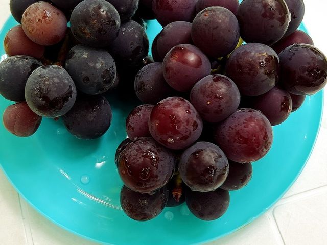 �嗱�ŁA�Â��Ĕ��������I_�X�c�Ԃǂ���