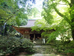武士の時代の建立 - 室生寺本堂（灌頂堂）のクチコミ - じゃらんnet