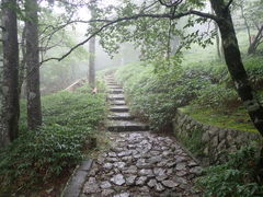 �}�C�a�n�n����̑�䃖���i���o���x�j�ւ̓��e�ʐ^1