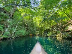 Ⴓ̃BgJ̓]ւ̓eʐ^1