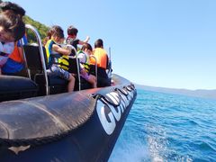 Ƃ悳񂳂̏ucA[ւ̓eʐ^1