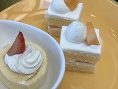 ��1000����̃V�F���g���E�O�����f�E�g�[�L���[�x�C�E�z�e���ւ̓��e�ʐ^2