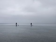 }rEzo Nature ACTւ̓eʐ^1