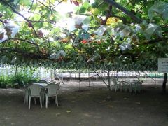 ~Y^R̊ό@Ôւ̓eʐ^1