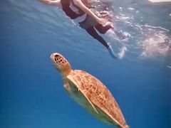 aaaaãJP} ACh g[gEnnւ̓eʐ^1