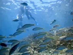 aaaaãJP} ACh g[gEnnւ̓eʐ^2