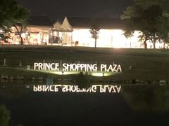 oj[̌yEvXVbsOvUւ̓eʐ^1