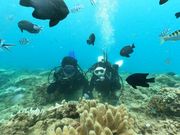 �g���J�Y����̃_�C�r���O�V���b�vTI.OCEAN�̓��e�ʐ^1