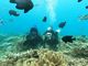 �g���J�Y����̃_�C�r���O�V���b�vTI.OCEAN�ւ̓��e�ʐ^3