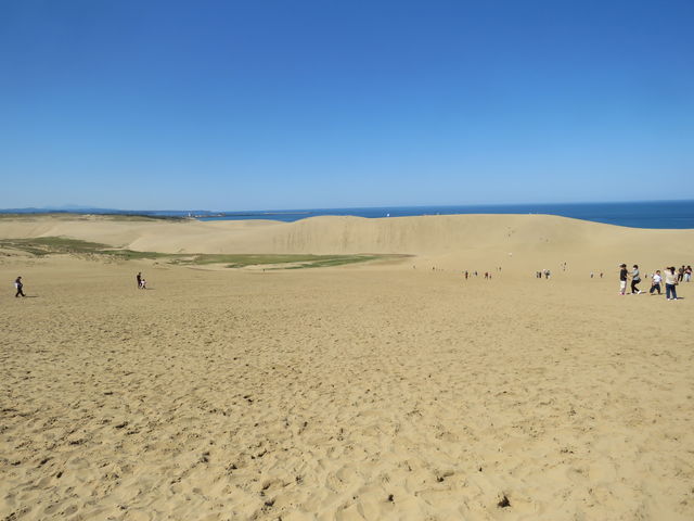 捻un̔wʂ]_ƂƂόKChZ^[