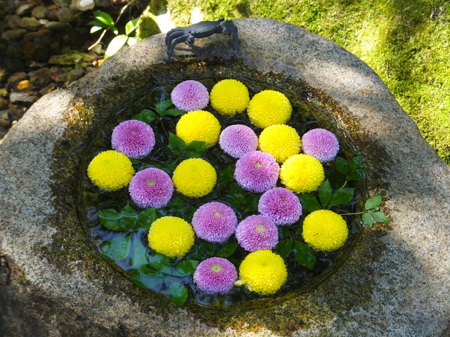 �Ԏ萅_����b�ώR��