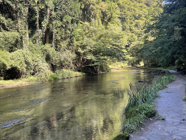 ��ʂɉf��؁X_�{�V�k�J