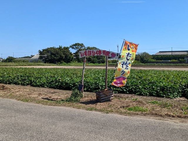 �ڈ������̂ŁA�������Ƃ͂���܂���ł����B_�Ă��ȃt�@�[��