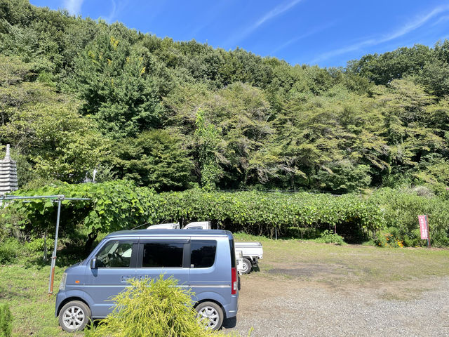 ͂Ƃ₳̕ՏƎ̊̓eʐ^6