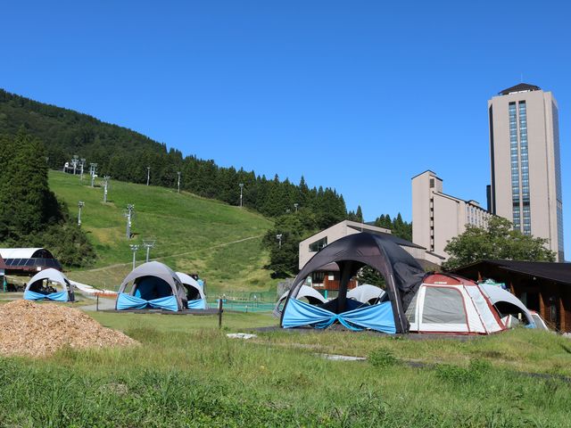 �Q�����f�A�z�e���A�e���g�̏�i_NASPA�X�L�[�K�[�f��