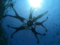 chirorũ}T[rXނʁ[ւ̓eʐ^1