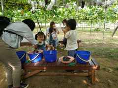 natsuyuna2̂܂邦όʎւ̓eʐ^1