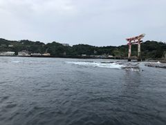 ܂񂳂Seafari Japanւ̓eʐ^1