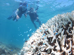 񂳂̃A}~GVXւ̓eʐ^1