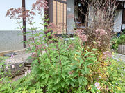 [񂳂̖@P̓т̓eʐ^3