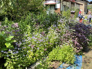 [񂳂̖@P̓т̓eʐ^4