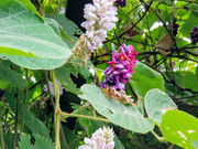 ͂Ƃ₳̕ՏƎ̊̓eʐ^3