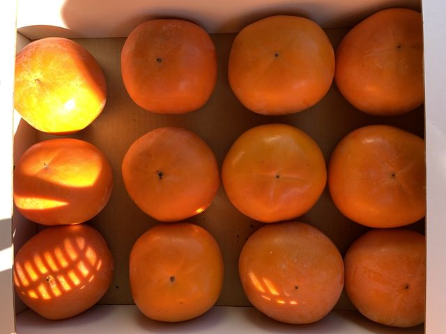 3
_�ÐM�ʎ���